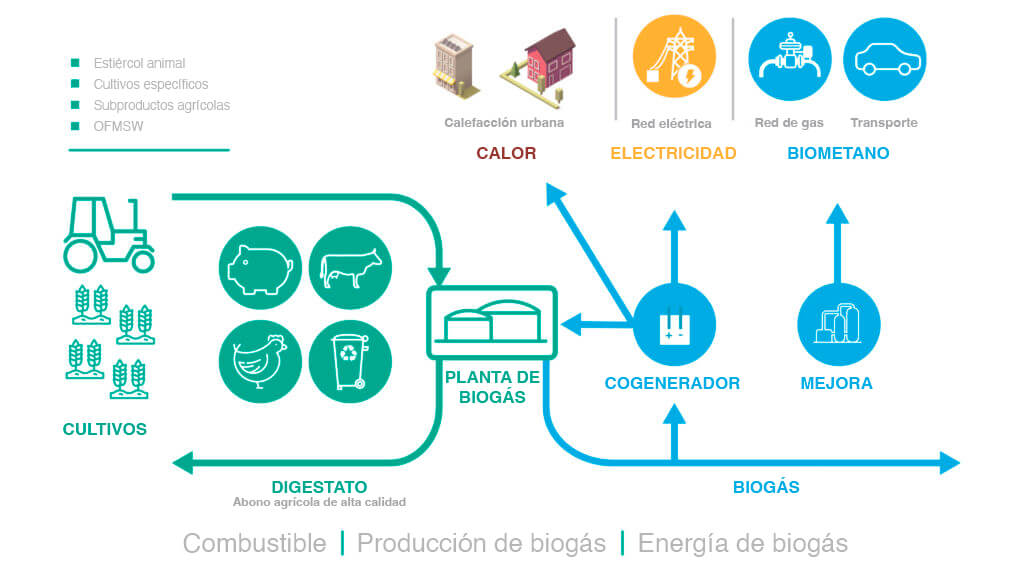 del biogás al biometano