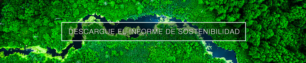 SUSTAINABILITY-REPORT PF